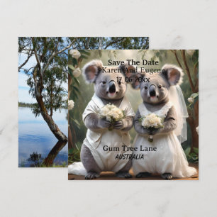 Australian Koala Bear White Wedding,