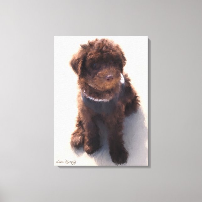 AUSTRALIAN LABRADOODLE PUPPY LEINWANDDRUCK (Vorderseite)
