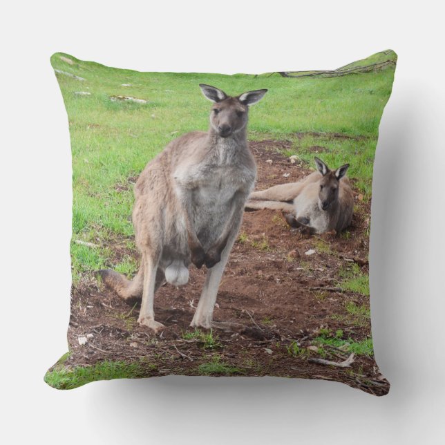 Australian Male Buck Kangaroo Large Throw Cushion. Kissen (Vorderseite)