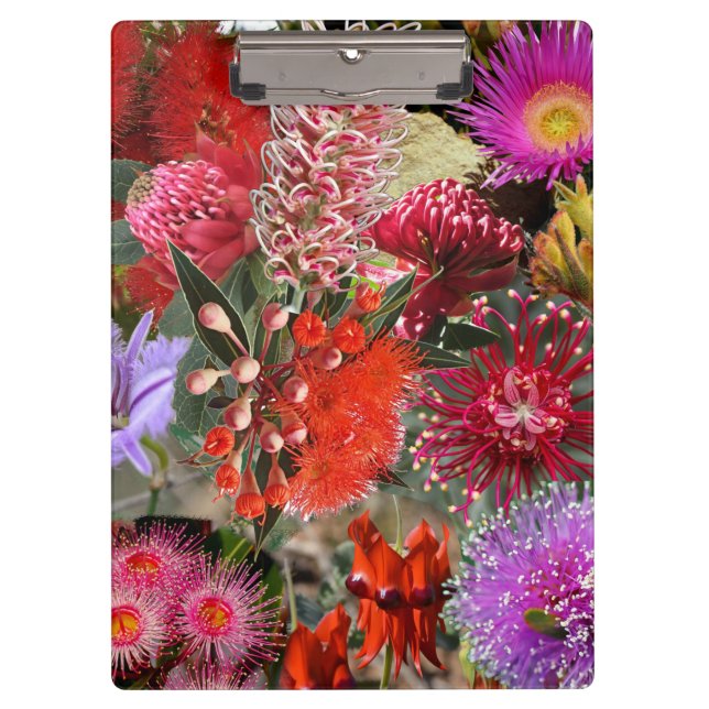 Australian Native Wild Blume Klemmbrett (Vorderseite)