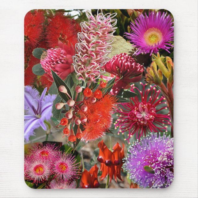 Australian Native Wild Blume Mousepad (Vorne)