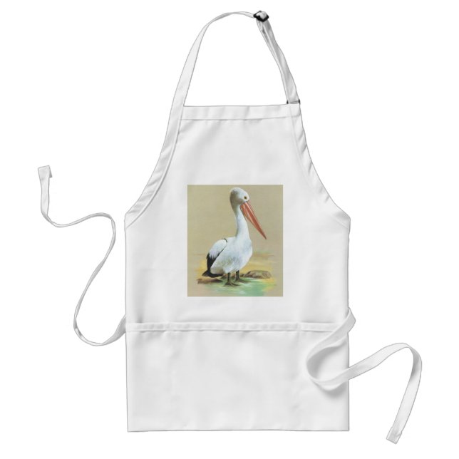 Australian Pelican - Pelecanus conspicillatus Schürze (Vorne)