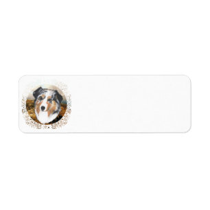 Australian Shepherd
