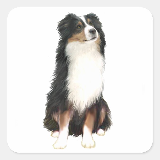 AUSTRALIAN SHEPHERD (A) - Tri Color Quadratischer Aufkleber (Vorderseite)