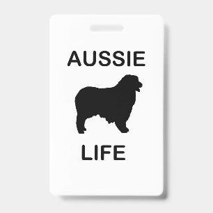 Australian Shepherd Aussie Leben Ausweis