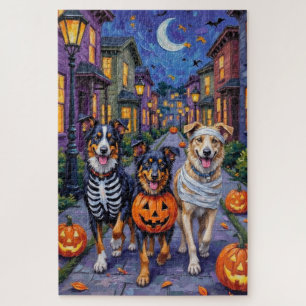 Australian Shepherd beim Trick-or-Treat an Hallowe