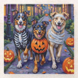 Australian Shepherd beim Trick-or-Treat an Hallowe Glasuntersetzer