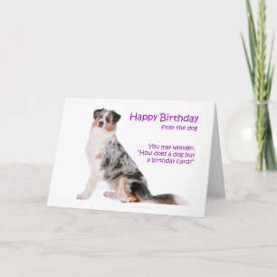 Australian Shepherd Birthday Card Karte