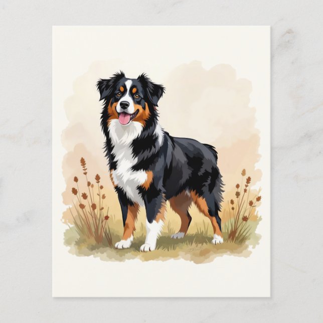 Australian Shepherd Black Tricolor Aussie Dog (Vorderseite)