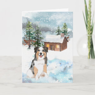 Australian Shepherd (Blau) Weihnachtskarte Karte