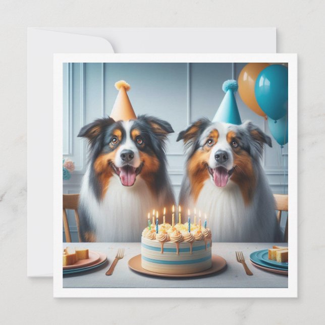 Australian Shepherd, Carte d'anniversaire de chien (Devant)