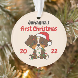 Australian Shepherd Christmas Baby first Christma