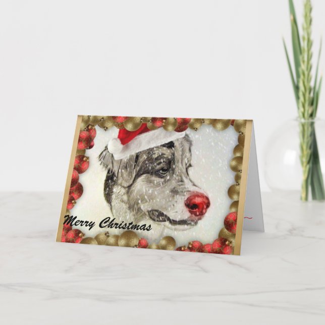 Australian Shepherd Christmas Card Feiertagskarte (Vorderseite)