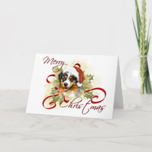Australian Shepherd Christmas Cards Feiertagskarte