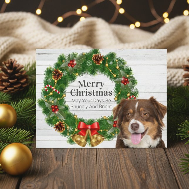 Australian Shepherd Christmas Feiertagspostkarte (Australian Shepherd Christmas  Holiday Postcard)