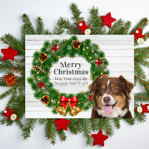 Australian Shepherd Christmas Feiertagspostkarte