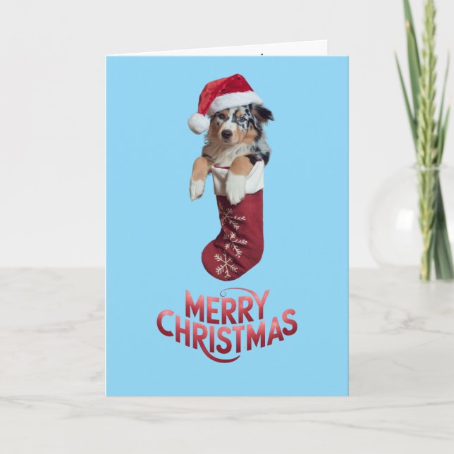 Australian Shepherd Christmas Strumpf Karte (Vorderseite)