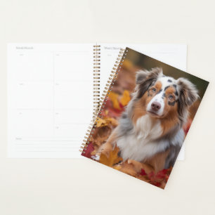 Australian Shepherd dans les feuilles d'automne qu