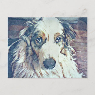 Australian Shepherd Digital Art Postkarte