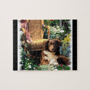 Australian Shepherd Dog Art
