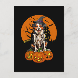 Australian Shepherd Dog Halloween Feiertagspostkarte