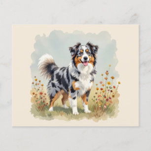Australian Shepherd Dog Merle Long Schwanz