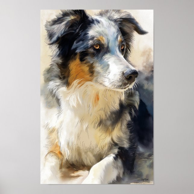 Australian shepherd dog portrait poster (Vorne)