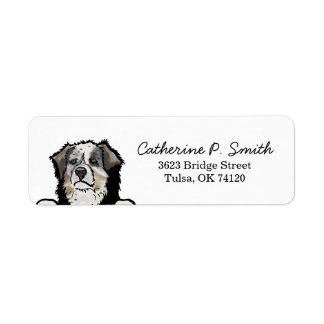 Australian Shepherd Dog Rücksendeadresse