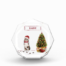 Australian Shepherd Funny Christmas Dog with Tree