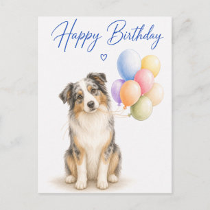 Australian Shepherd Geburtstag Postkarte
