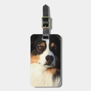 Australian Shepherd Gepäckanhänger