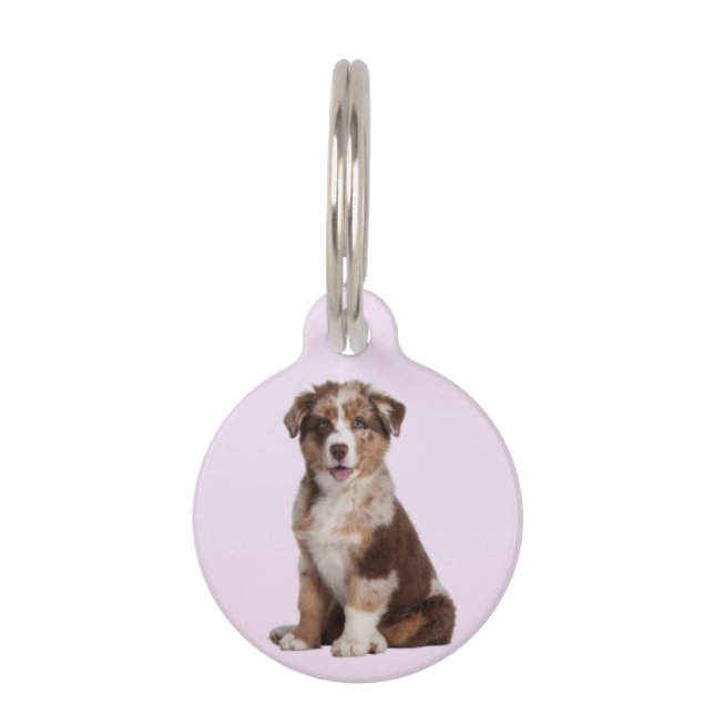 Australian Shepherd | Haustiermarke (Vorderseite)