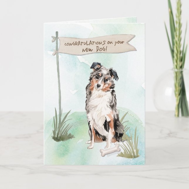 Australian Shepherd Herzlichen Glückwunsch zu New  Karte (Vorderseite)