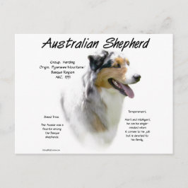 Australian Shepherd History, All about Aussies Postkarte