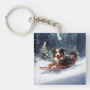 Australian Shepherd hiver neige de Noël