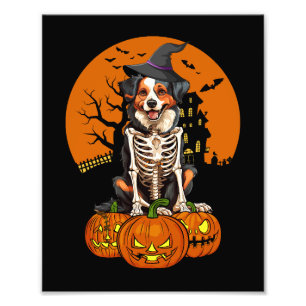 Australian Shepherd Hund Halloween Fotodruck