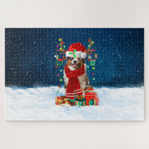 Australian Shepherd Hund mit Weihnachtsgeschenken