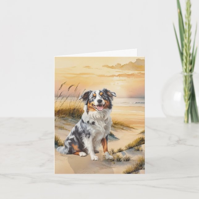 Australian Shepherd in a Beach Cove (Vorderseite)