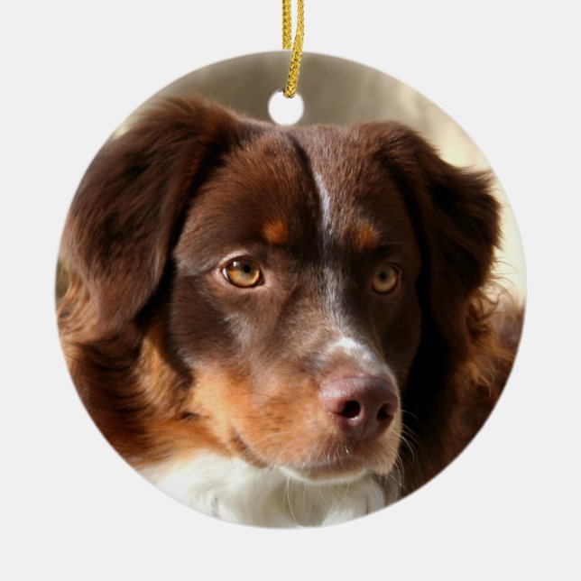 Australian Shepherd Keramik Ornament (Vorne)