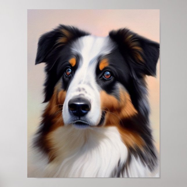 Australian Shepherd Kopf -  Poster (Vorne)