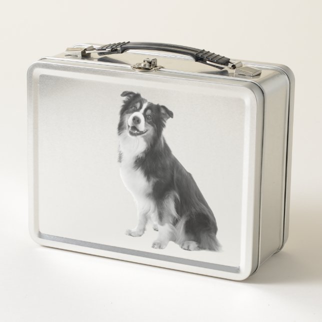 Australian Shepherd Motiv  Metall Brotdose (Vorderseite)