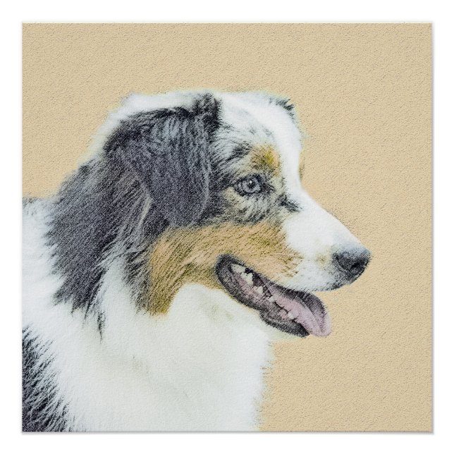 Australian Shepherd Painting - Original Dog Art Poster (Vorderseite)
