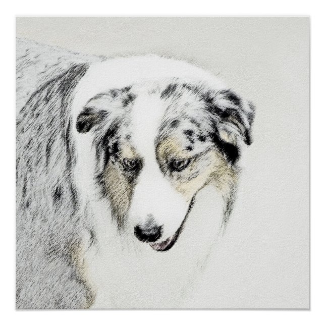 Australian Shepherd Painting - Original Dog Art Poster (Vorderseite)