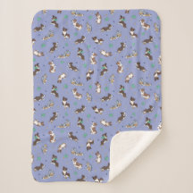 Australian Shepherd Playing Fun