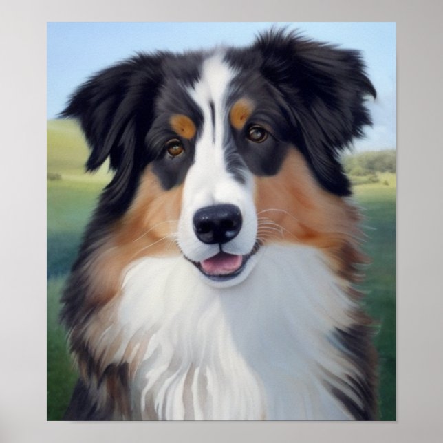 Australian Shepherd Portrait  -  Poster (Vorne)