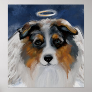 Australian Shepherd Poster