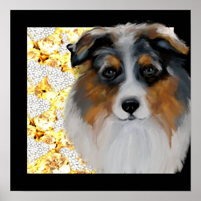 Australian Shepherd Poster (Vorne)