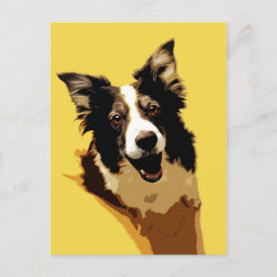 Australian Shepherd Postkarte