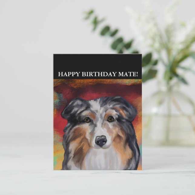 AUSTRALIAN SHEPHERD POSTKARTE (Stehend Vorderseite)