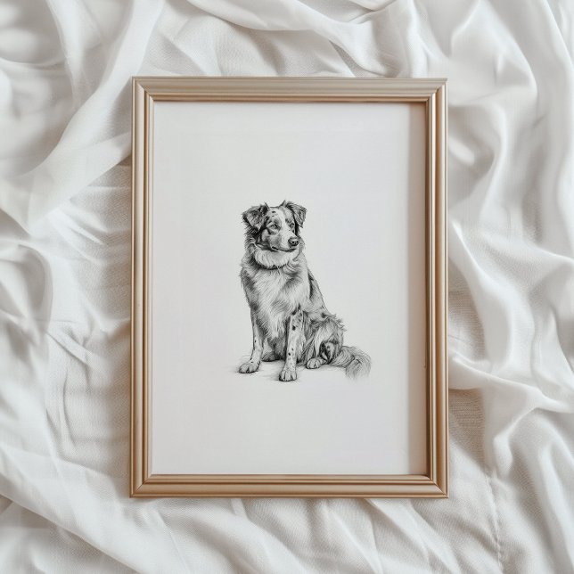 Australian Shepherd Print, Aussie Dog Sketch, PRIN Poster (Von Creator hochgeladen)